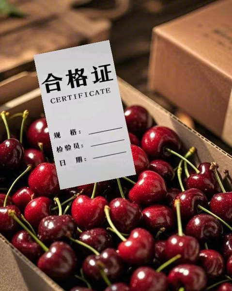 微信图片_20250228095307.jpg