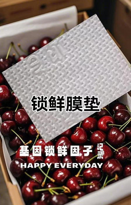 微信图片_20250228095327.jpg