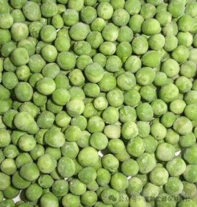 绿佳园速冻青豌豆 速冻蔬菜 营养健康 蔬菜 食材|东台市绿佳园食品有限公司-火爆餐饮食材招商网【1588.TV】