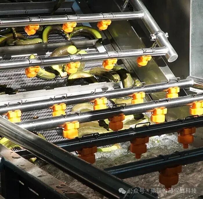 全自动香蕉片加工解决方案