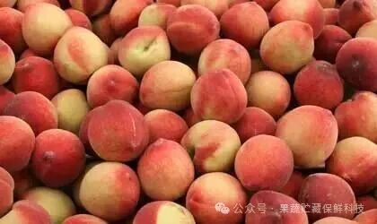 中国核果年度报告:桃类价格疲软种植减少 进口量预计下降10% - 亚洲水果