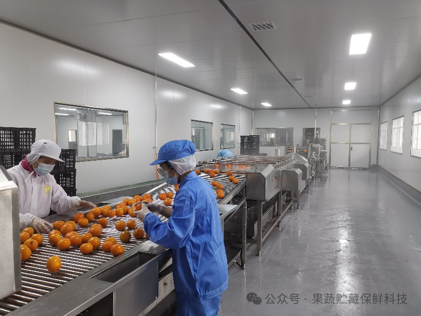 南宁国家农业科技园区第一条沃柑果汁生产线开榨-FoodTalks